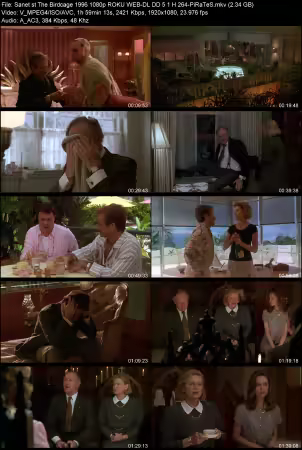 The Birdcage 1996 1080p ROKU WEB-DL DD 5.1 H264-PiRaTeS
