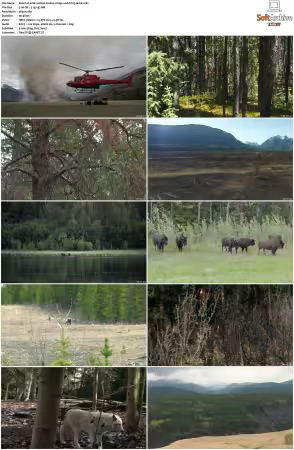 Wild Rockies S01 2160p WEB H265-JAVLAR