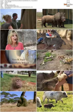 Unlikely Animal Friends S01 S03 1080p DSNP WEB-DL DD+5.1 H264-playWEB