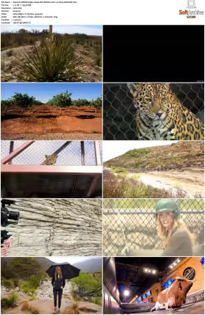PARKD S01 S05 1080p FOX WEB-DL AAC 2.0 H264-ARCHIVED