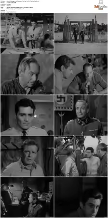 Voyage to the Bottom of the Sea 1964-1968 S01 S04 DVDRip XviD-NOGRP