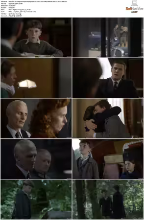 Un Village Francais S01-S07 1080p WEB-DL DD2.0 H264-SbR