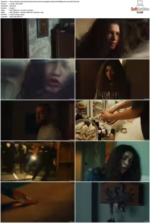 Euphoria US S01S02 1080p 10bit WEBRip 6CH x265 HEVC-PSA