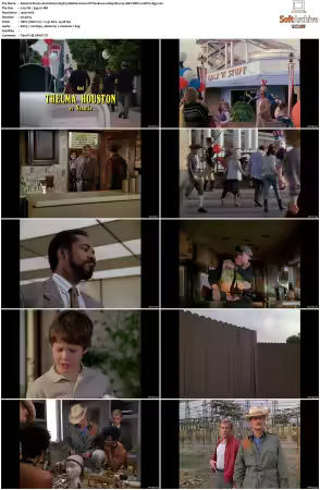 Simon and Simon S01-S08 1080p Blu-ray 10Bit DDP2.0 HEVC-d3g