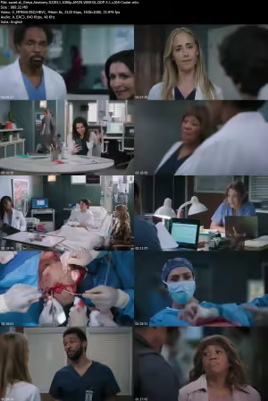 Greys Anatomy S22E11 1080p AMZN WEB-DL DDP 5 1 x265-Cooler
