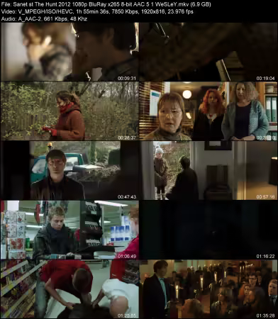The Hunt 2012 1080p BluRay x265 8-bit AAC 5.1 WeSLeY