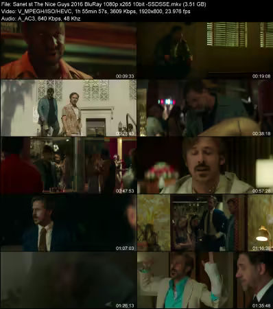 The Nice Guys 2016 BluRay 1080p x265 10bit -SSDSSE