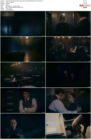 Miss Scarlet and the Duke 2020 S01 S06 1080p AMZN Webrip DDP5 1 x265-Vialle