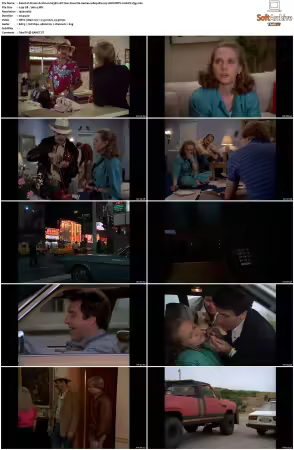 Simon and Simon S01 S08 1080p Blu-ray 10Bit DDP2.0 HEVC-d3g