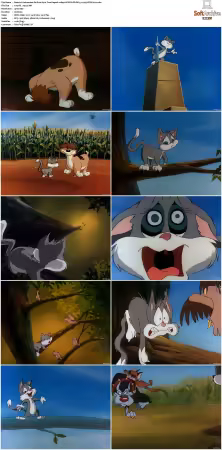Animaniacs 1993 S01-S05 1080p UPSCALED DD 5.1 x265-EDGE2020