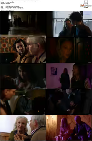 Un Village Francais S01-S07 1080p WEB-DL DD2.0 H264-SbR