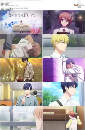 Hana-Kimi S01 1080p CR WEB-DL DUAL DDP2.0 H264-Kitsune