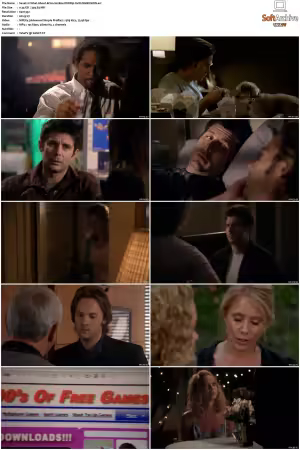 What About Brian S01 S02 DVDRip XviD-DIMENSION