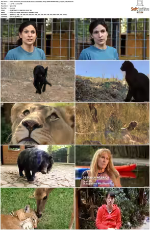 Unlikely Animal Friends S01 S03 1080p DSNP WEB-DL DD+5.1 H264-playWEB