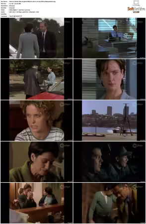 Water Rats S01-S06 WEB-DL AAC2.0 H264-BTN