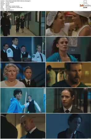 Wentworth S01 S09 1080p WEB h265-d3g
