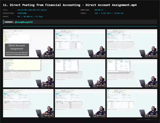 SAP S4HANA Profitability Analysis COPA (Margin Analysis)