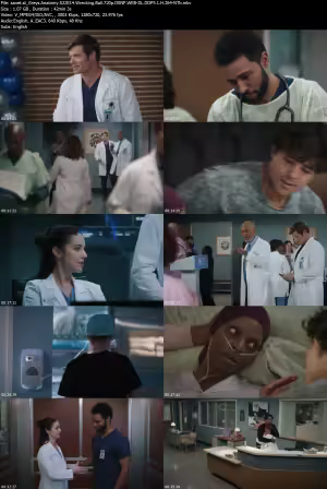 Greys Anatomy S22E14 Wrecking Ball 720p DSNP WEB-DL DDP5 1 H 264-NTb