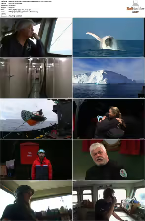 Whale Wars S01 1080p WEB-DL AAC2.0 AVC-TrollHD