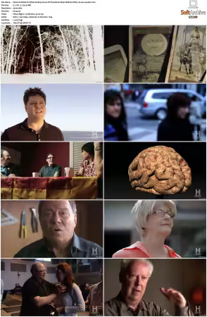 Weird Or What S01 S03 1080p WEB-DL DDP5.1 H264-squalor