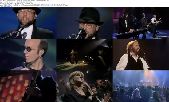 Bee Gees One Night Only 1998 WEBRip 1080p x264-Lullozzo