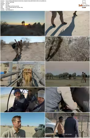 Walking With Elephants S01 1080p AMZN WEB-DL DDP2.0 H264-NPMS