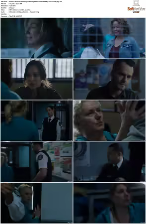 Wentworth S01-S09 1080p WEB h265-d3g
