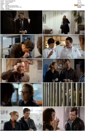 Vexed S01S02 1080p WEB x264-NGP