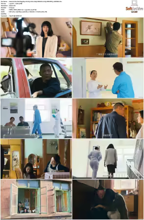 Our Dazzling Days S01 2026 2160p WEB-DL H 265 HDR DDP5.1-HHWEB