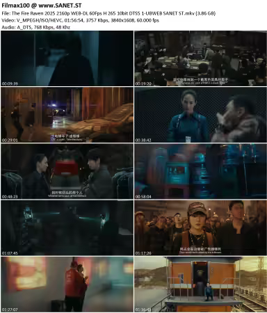 The Fire Raven 2025 2160p WEB-DL 60Fps H 265 10bit DTS5.1-UBWEB