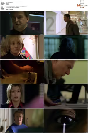 Waking The Dead S01-S09 DVDRip XviD-Mixed