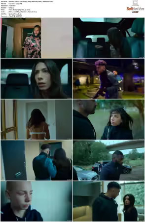 Snabba Cash S01 S02 1080p WEB H264 DDP5.1-DERMAGiC