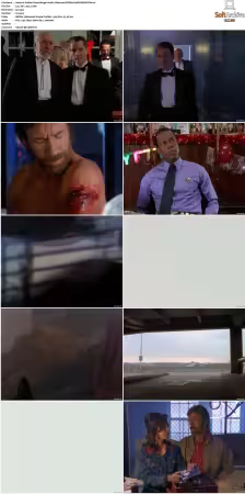 Walker Texas Ranger S01-S09 DVDRip XviD-Mixed