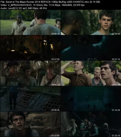The Maze Runner 2014 REPACK 1080p BluRay x265-YAWNTiC