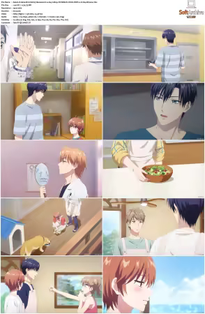 Hana-Kimi S01 1080p CR WEB-DL DUAL DDP2.0 H264-Kitsune
