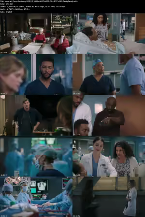 Greys Anatomy S22E12 1080p AMZN WEB-DL HEVC x265-JackyCandy