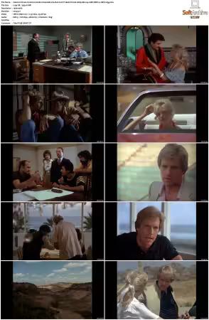 Simon and Simon S01 S08 1080p Blu-ray 10Bit DDP2.0 HEVC-d3g