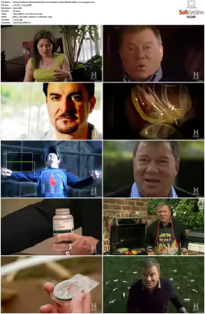 Weird Or What S01 S03 1080p WEB-DL DDP5.1 H264-squalor