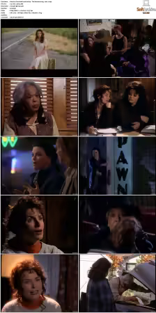 Promised Land S01 S03 DVDRip H264 AAC-