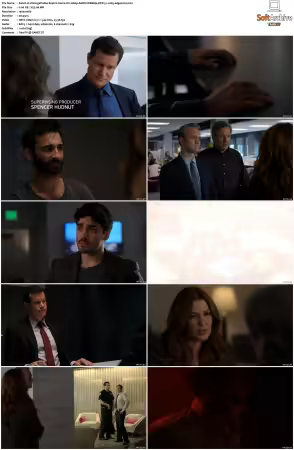 Unforgettable S01-S04 1080p AMZN WEBRip DDP 5.1 x265-edge2020