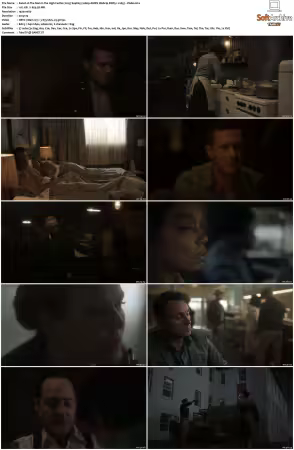 The Man in the High Castle 2015 S01 S04 1080p AMZN Webrip DDP5.1 x265-Vialle
