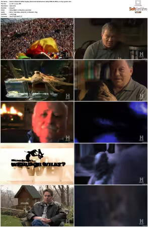 Weird Or What S01 S03 1080p WEB-DL DDP5.1 H264-squalor