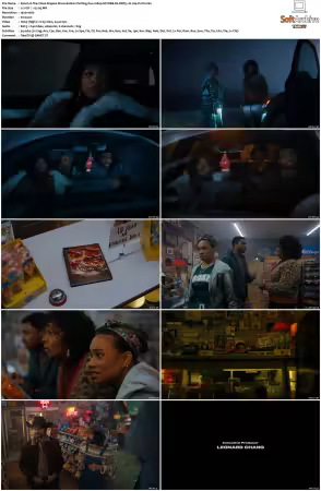 The Vince Staples Show S02 1080p NF WEB-DL DDP5.1 H264-FLUX