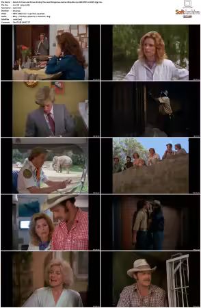 Simon and Simon S01-S08 1080p Blu-ray 10Bit DDP2.0 HEVC-d3g
