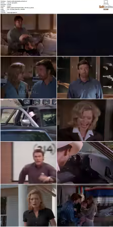 Walker Texas Ranger S01-S09 DVDRip XviD-Mixed