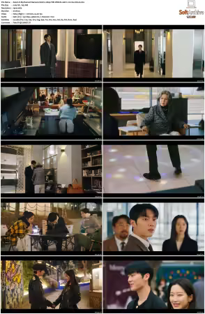 My Dearest Nemesis S01 1080p VIKI WEB-DL AAC2.0 H264-SiGLA