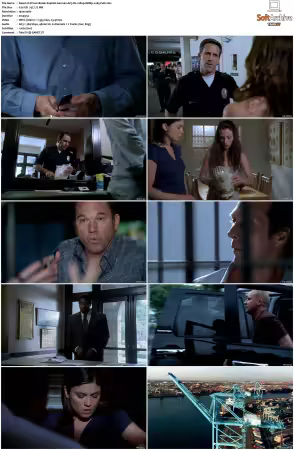 Prison Break S01-S05 German AC3 DL 1080p BDRip x265-FuN