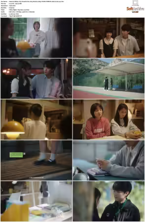 When I Fly Towards You 2023 S01 1080p YOUKU WEB-DL AAC H264-wp