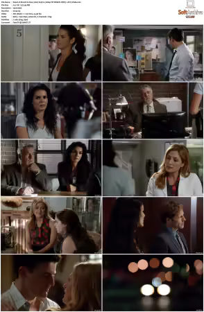 Rizzoli and Isles 2010 S01-S07 1080p NF WEB-DL DDP5.1 AV1-Vialle