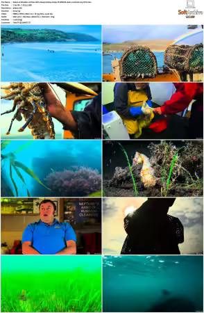 Wonders of the Celtic Deep S01 2160p iP WEB-DL AAC2 0 HLG H265-NTb